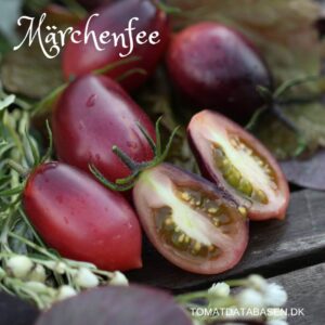 Mächenfee