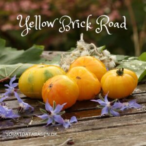 Yellow Brickroad