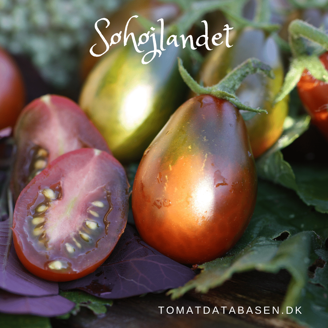 søhøjlandet1