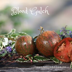 Blood Gulch