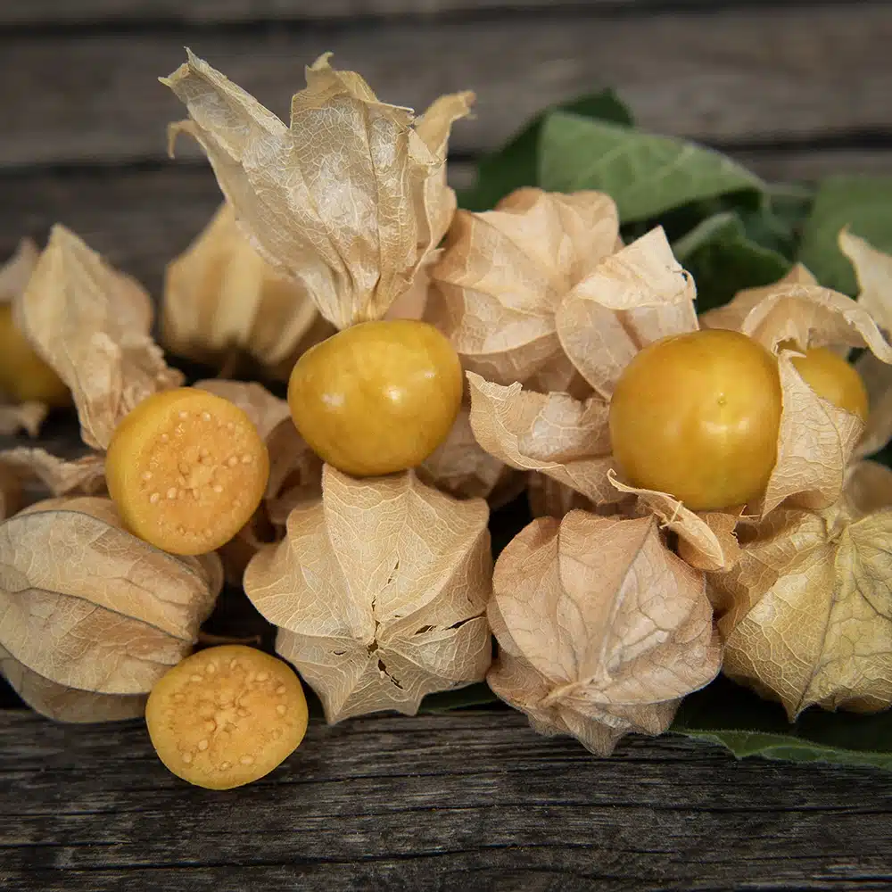 AnanaskirsebærSchonbrunnerGold1